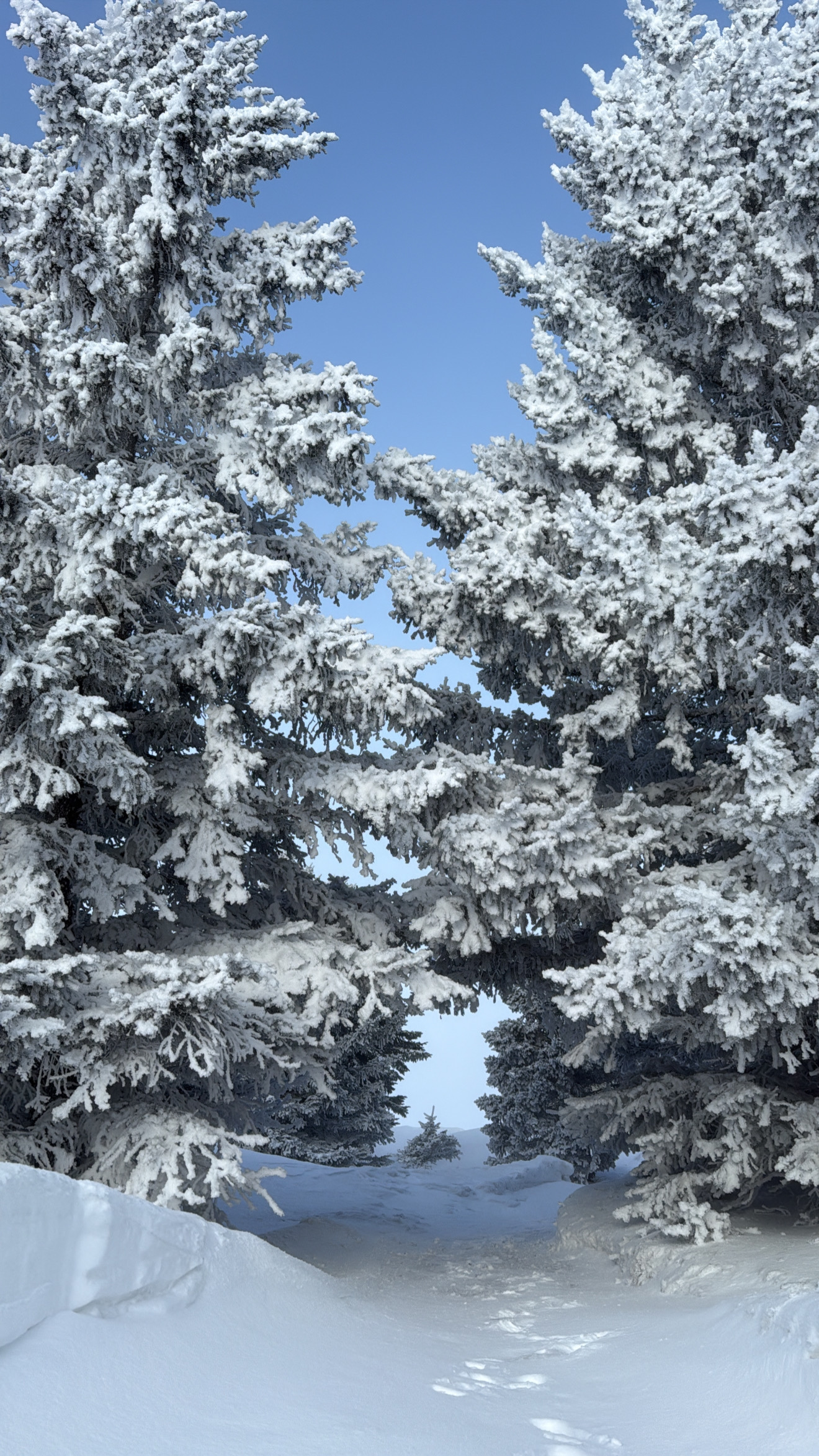 Winter Strikes Again