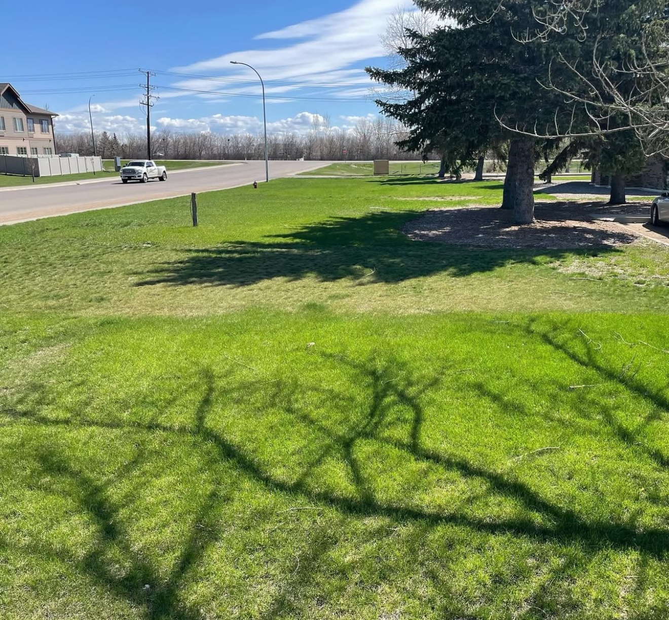 Commercial Landscaping